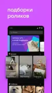 VK Clips captura 8