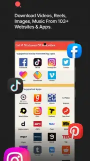 Video Downloader Pro captura 1
