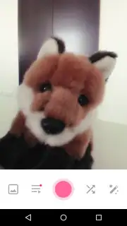Bestie - Selfies Camera captura 6