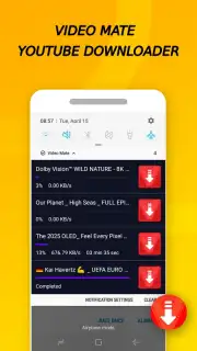 Vidora YouTube Downloader | free & fast captura 10