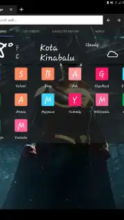 Skynet Browser captura 5