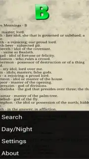 Bible Names with Meanings captura 6