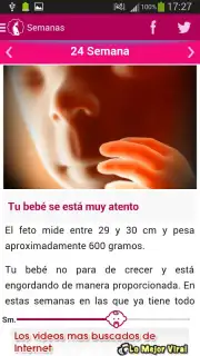 Semanas Embarazo captura 6