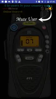 Online Walkie Talkie Pro PTT captura 5
