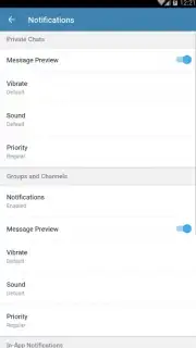 Telegram X captura 16