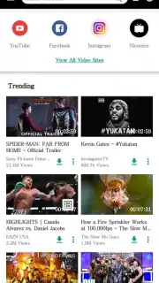 VidPaw App captura 1
