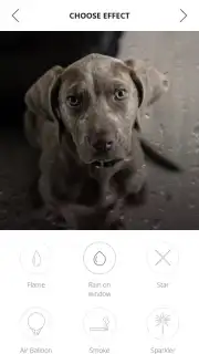 vimage captura 5