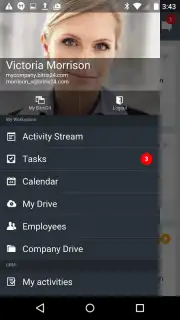 Bitrix24 captura 7