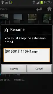 File Selector/Explorer captura 2