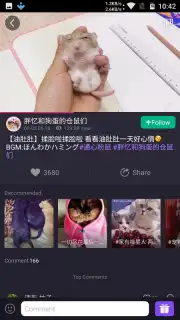 Meipai captura 12
