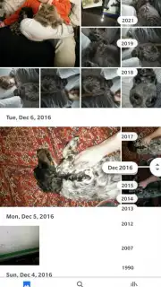 Google Photos captura 4