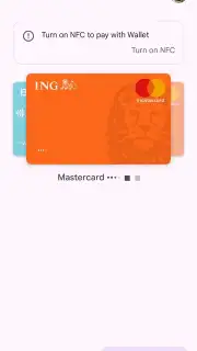 Google Wallet captura 3