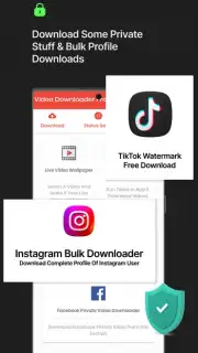 Video Downloader Pro captura 3