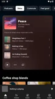 YouTube Music (Android TV) captura 13