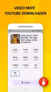 Vidora YouTube Downloader | free & fast captura 13