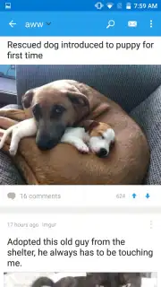 Reddit captura 7