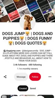Pinterest captura 6