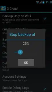 G Cloud Backup captura 6