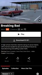 Netflix (Android TV) captura 15