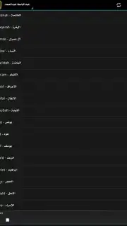 Radio Quran captura 2