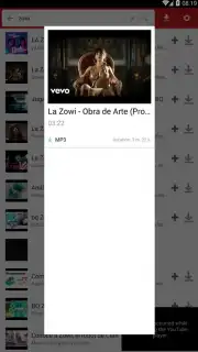 iTube Pro captura 4