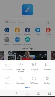 Mini Private Browser: Fast Search, Download, No Ad captura 3