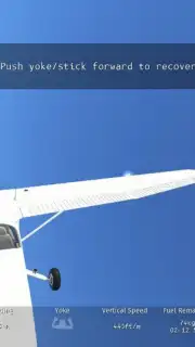 Infinite Flight captura 6