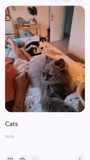 Google Keep captura 10