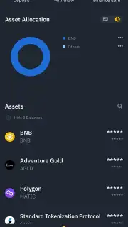 Binance captura 13