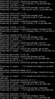 Termux captura 4
