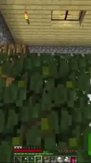 Perfect Building Minecraft captura 3