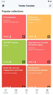 Yandex Translate captura 12