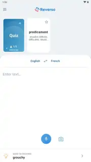 Reverso Translation Dictionary captura 1