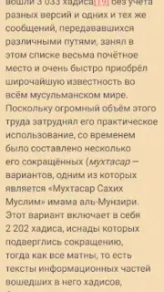 САХИХ МУСЛИМ captura 6