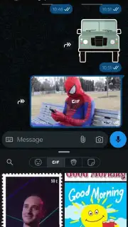 WhatsApp Business captura 6