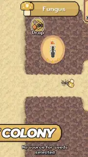 Pocket Ants captura 7