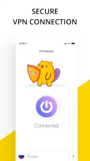 VPN service captura 4