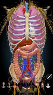 3D Anatomy Learning captura 4