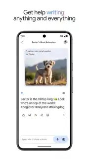Google Gemini captura 8