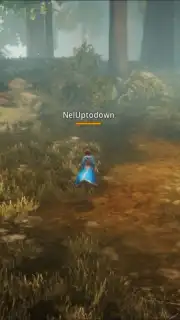 MIR4 captura 4