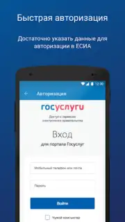ПФР Электронные сервисы captura 6