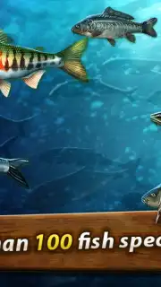 Gone Fishing: Trophy Catch captura 8