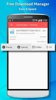 Free Download Manager captura 1