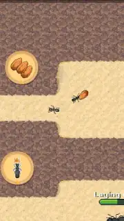 Pocket Ants captura 2