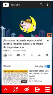 MiniTube captura 3