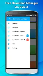Free Download Manager captura 5