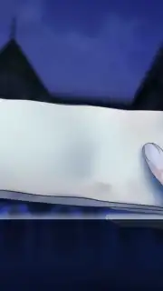 Neil captura 2