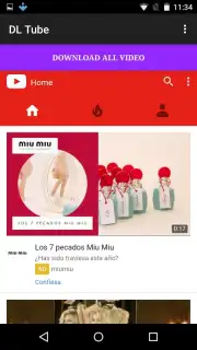 DL Tube captura 2