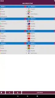 World Football Simulator captura 18