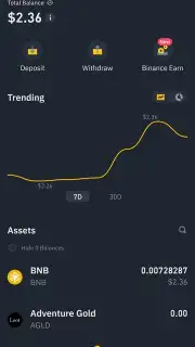 Binance captura 2
